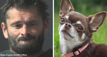 Split image of a man’s mugshot alongside a close-up of a small brown-and-white Chihuahua wearing a pink collar.