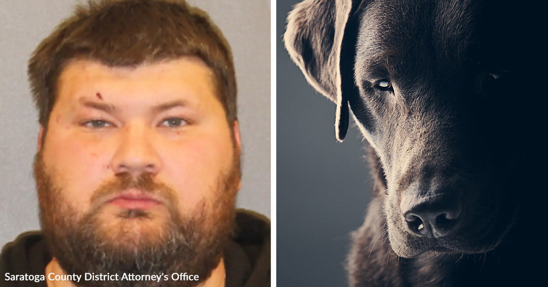 Split image showing a mugshot-style portrait of a man beside a dark-colored dog in dramatic low light.