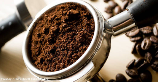 Study Finds Your Old Coffee Grounds Could Hold a Key to Preventing Neurodegenerative Diseases