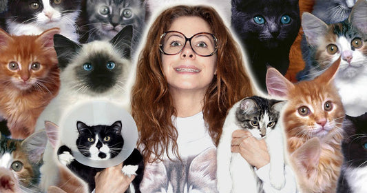 It Turns Out 'Crazy Cat Ladies' Aren't Actually Crazy, New Study Finds