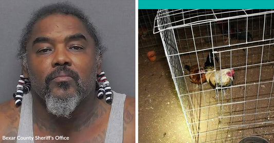 Split image showing a mugshot-style portrait of a man beside two roosters inside a wire enclosure at night.