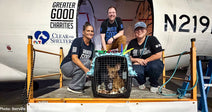 people outside plane bent down near dog in pet carrier