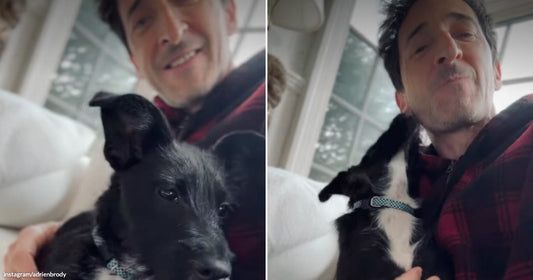 On the left, a smiling man holds a small black-and-white puppy indoors; on the right, the same man cuddles the puppy while it licks his cheek.