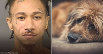 On the left, a young man with face tattoos and piercings poses for a mugshot; on the right, a shaggy golden-brown dog rests its head on the floor.