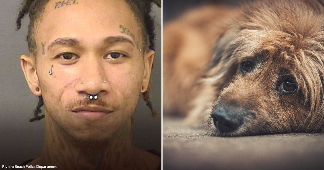 On the left, a young man with face tattoos and piercings poses for a mugshot; on the right, a shaggy golden-brown dog rests its head on the floor.