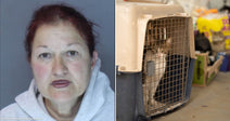 On the left, a middle-aged woman with red hair in a gray hoodie against a plain background; on the right, a cat inside a pet carrier with supplies behind it.