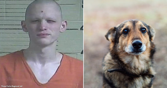 On the left, a young bald person wearing an orange jumpsuit poses against a wall; on the right, a small brown dog looks up curiously outdoors.