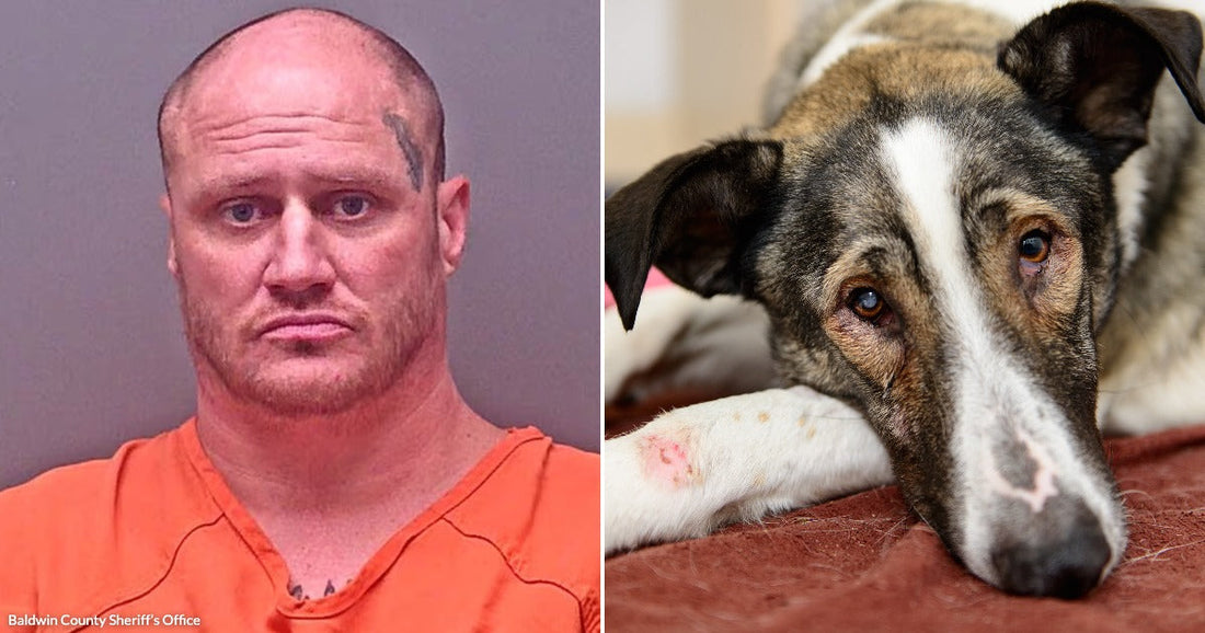 On the left, a heavyset man with a shaved head and face tattoo wears an orange jumpsuit; on the right, a tired-looking dog with visible wounds rests on a blanket.