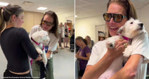On the left, two women exchange a small white dog in an indoor space; on the right, a woman with sunglasses laughs while a white puppy licks her face.
