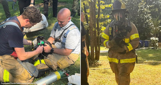 On the left, two firefighters kneel on grass administering oxygen to a black cat; on the right, a fully-geared firefighter in turnout gear carries a black cat across a yard.