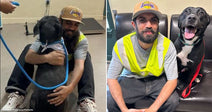 On the left, a bearded man in a Lakers cap hugs a black dog on a floor; on the right, the same man sits beside the happy, tongue-out dog on.