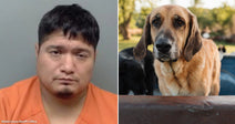 On the left, a man in an orange jumpsuit sits against a gray background; on the right, a tan hound dog looks toward the camera outdoors.