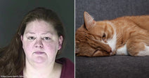 On the left, a woman with long auburn hair looks forward against a gray background; on the right, an orange tabby cat rests its head on a gray sofa.
