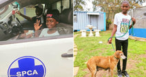  On the left, two children wave from inside an SPCA vehicle; on the right, a child in a white shirt stands on grass holding a leashed brown dog.