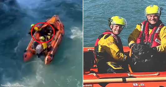 On the left, an orange RNLI lifeboat navigates rocky coastal waters with crew highlighted by a red circle; on the right, two smiling RNLI crew members hold a rescued black.