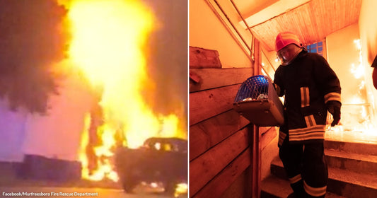 On the left, a house engulfs in tall flames at night beside a parked car; on the right, a firefighter in gear carries a pet carrier down smoky stairs.