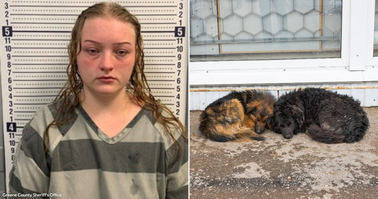 On the left, a young woman with wet hair wearing a striped jail uniform stands against a height chart; on the right, two dogs sleep curled together on concrete near.