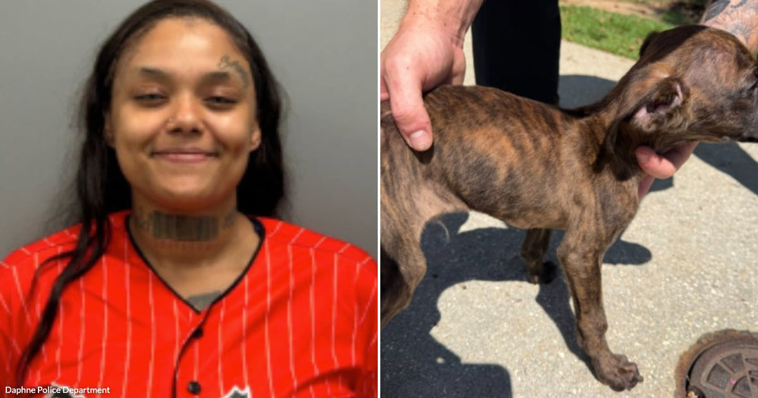 Left: a smiling woman in a mugshot pose. Right: a severely emaciated brindle dog being held by a person outdoors on pavement .