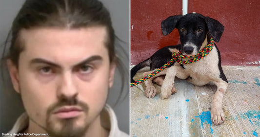 On the left, a young man with dark hair and a goatee poses against a plain background; on the right, a black-and-white puppy lies on a concrete floor.