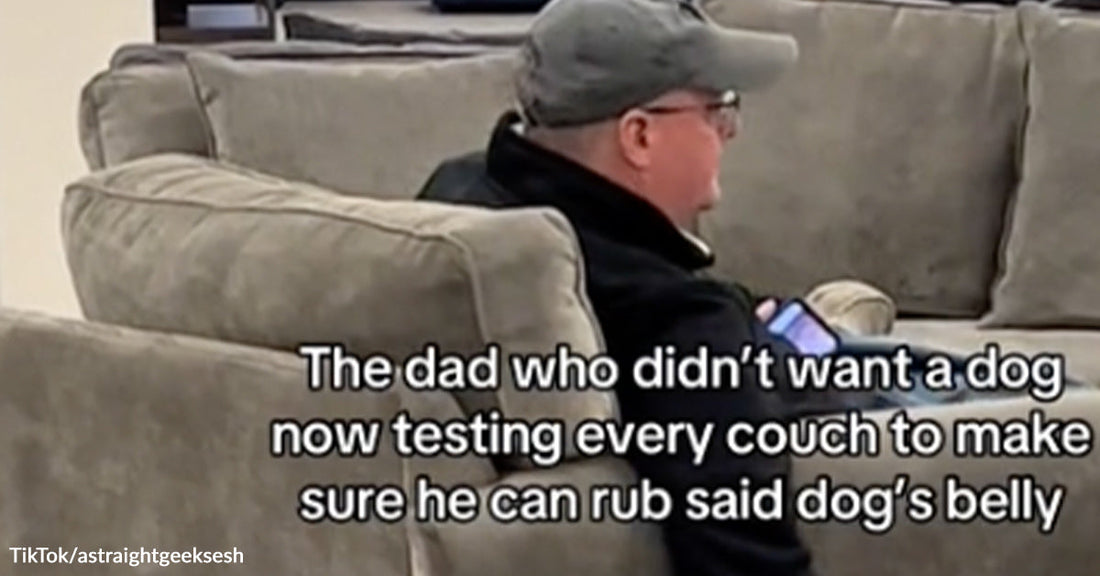 Man wearing a cap sits on a couch in a furniture store while on-screen text reads, “The dad who didn’t want a dog now testing every couch to make sure he can rub said dog’s belly.”