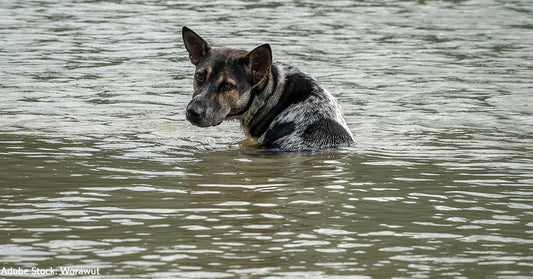 Flash Flood Emergency in Texas Hill Country, One Year After Deadly Flood Killed Over 100