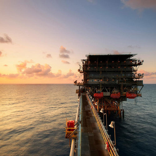 Stop The Global Theft Of Our Ocean’s Health And Future Now