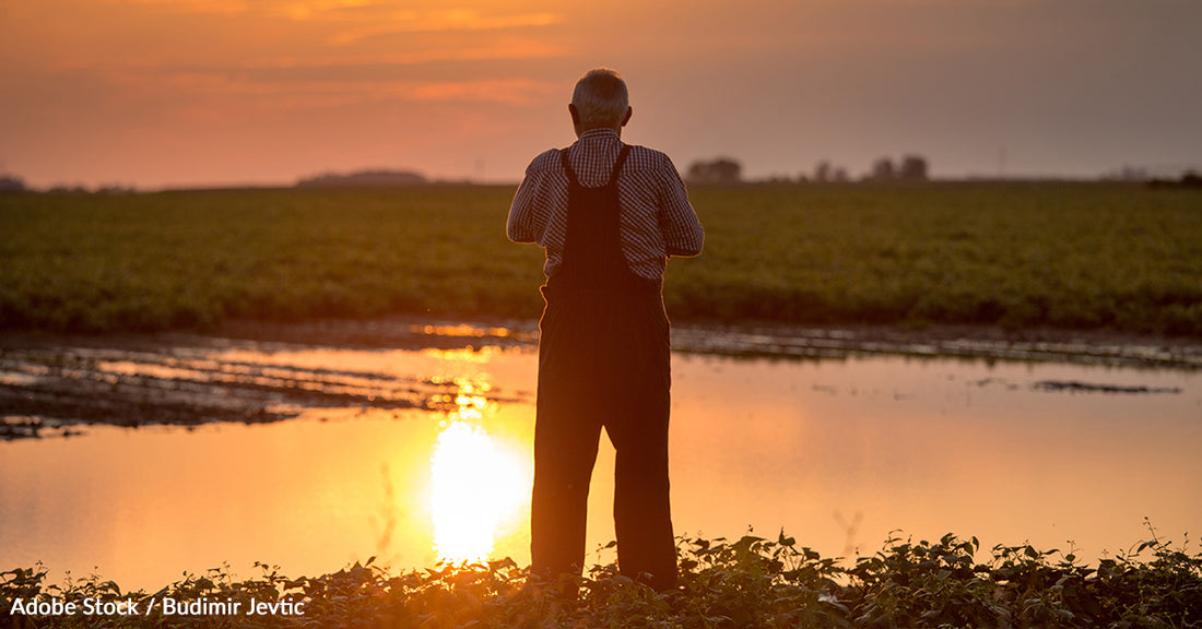 10 Ways You Can Help Reduce the Impact of Natural Disasters on Global Food Security