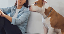 Stop Insurance Companies From Punishing Dogs By Breed