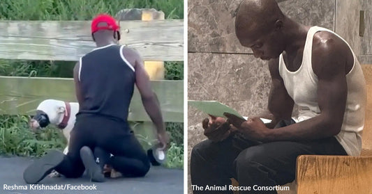 Split image showing a man kneeling beside a dog outdoors on the left and the same man sitting indoors reading from a tablet on the right.