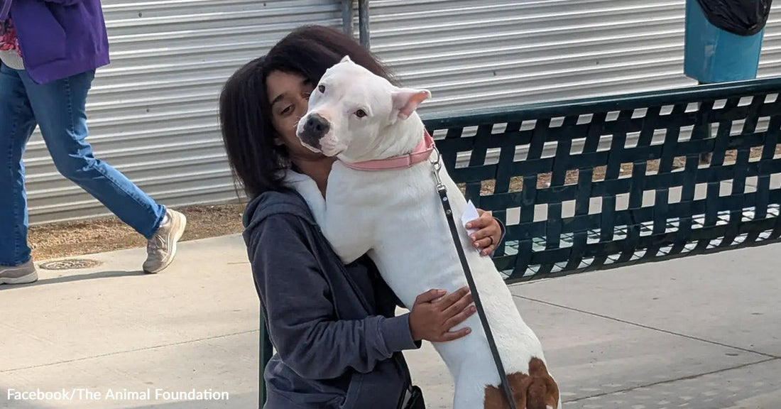 White dog on a leash stands on its hind legs to hug a person seated on a bench outdoors.