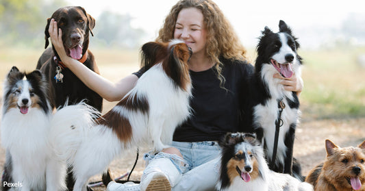 Mastering Dog Park Etiquette: The Ultimate Guide to a 'Pawsitive' Experience