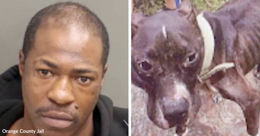 Mugshot of a man next to an emaciated dog with visible ribs, highlighting neglect.