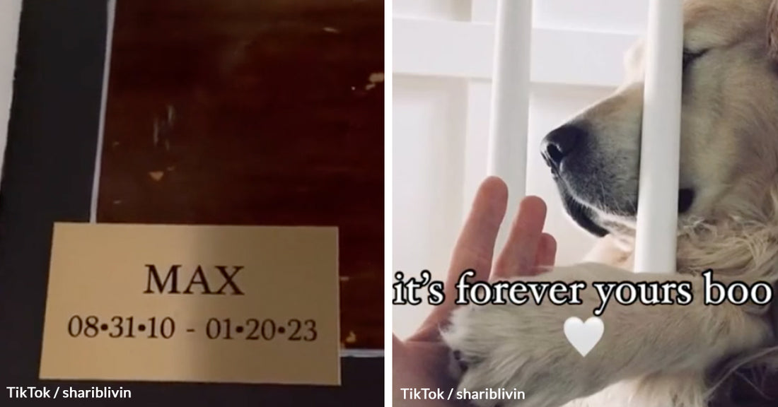 This Woman's Tribute to Her Dog Will Leave You in Tears