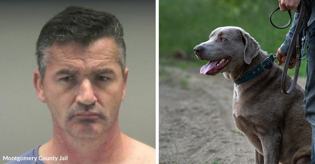A mugshot of a man with short dark hair appears beside a photo of a dog on a leash being held by a handler outdoors.