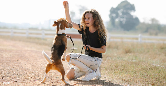 Protect Your Furry Friend from the Dangers of Rawhide and Other Potentially Harmful Treats