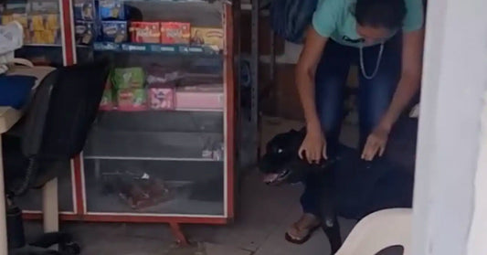 Person bending down to adjust or pet a black dog inside a small shop, with shelves of packaged goods visible behind a glass display case.