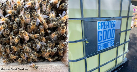 Why Beekeepers Are 'The Forgotten Farmer', And What You Can Do to Help Them
