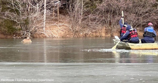 Firefighters Save Deer After it Falls Into Frozen Pond