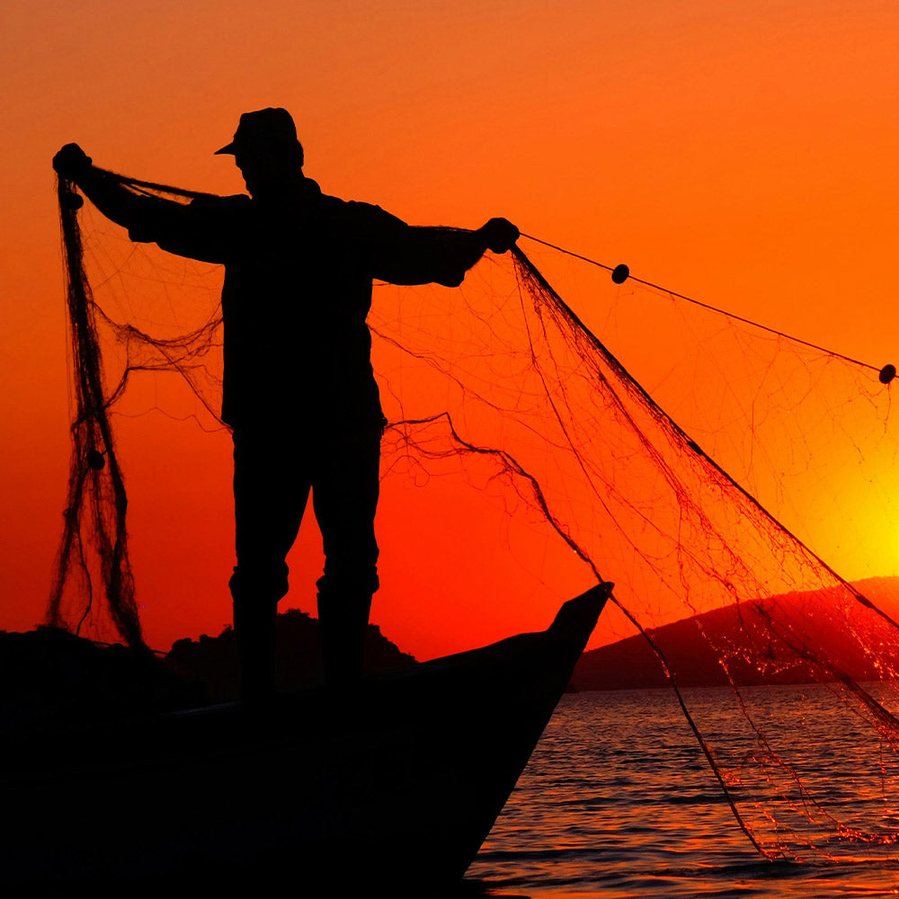 Ban These Plastic Death Traps That Are Killing Sea Turtles and Baby Tuna