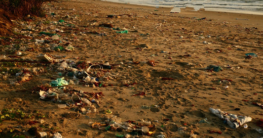 Food Wrappers Top The List Of Trash Found On Beaches Worldwide