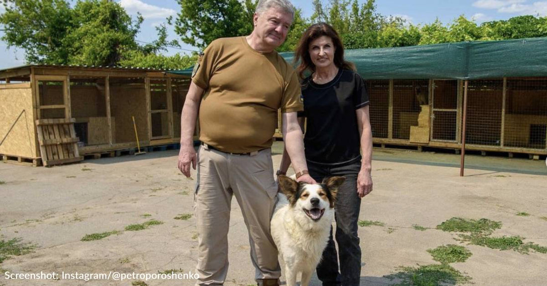 Former Ukrainian President Adopts Homeless Dog From Flooded Kherson