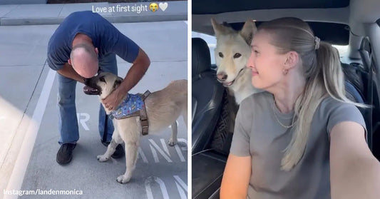 Man hugging a light-colored dog during an emotional first meeting, beside a woman smiling in a car with the same dog close beside her.