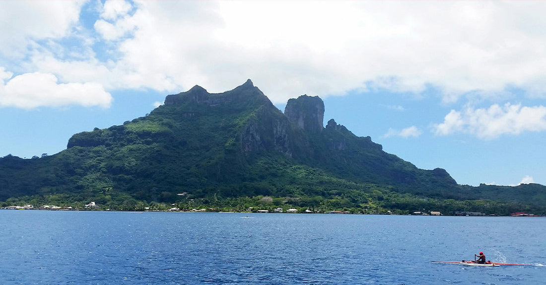 French Polynesia Blocks Industrial Fishing By Creating The World's Largest Marine Protected Area