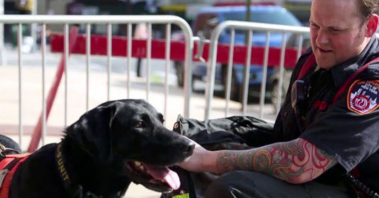TSA Dog Meets Son Of His Namesake: A Hero Who Died Saving 25,000 On 9/11