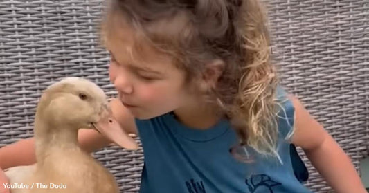 How a Little Girl Became a Mother to Three Ducks