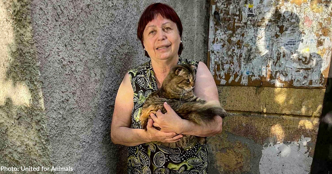 Grandmas in Odessa, Ukraine, Spend Their Small Pensions On Feeding Homeless Pets