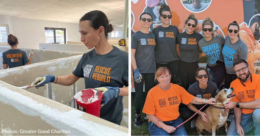 Rescue Rebuild Gives Florida Animal Shelter Complete Makeover And Improves The Lives Of Homeless Animals