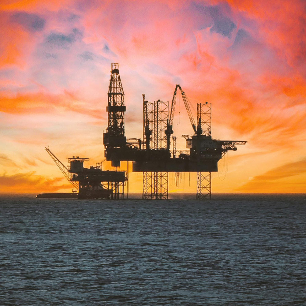 Stop Offshore Drilling Before the Last Gulf Whales are Killed