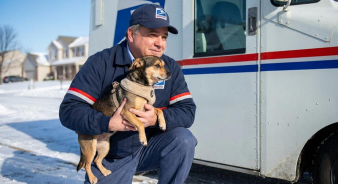 A postal worker kneels in the snow, holding a small dog outside a delivery truck.
