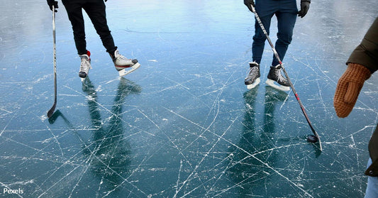 Backyard Hockey Rinks Ignite Hope For Wildlife In Canada